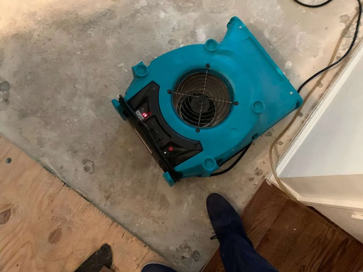 Air mover drying subfloor during Leak Detection & Repair in Stuarts Draft
